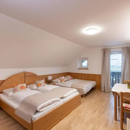 Hotel Santner,