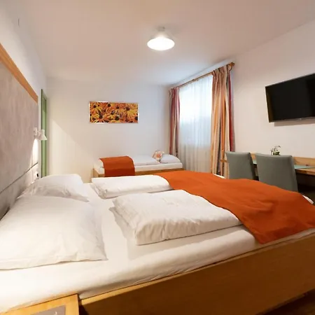Hotel Santner,