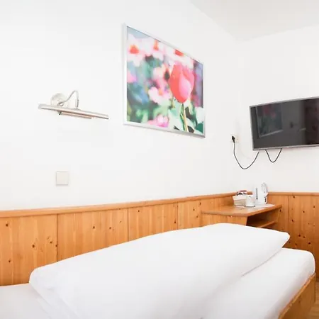 Hotel Santner,