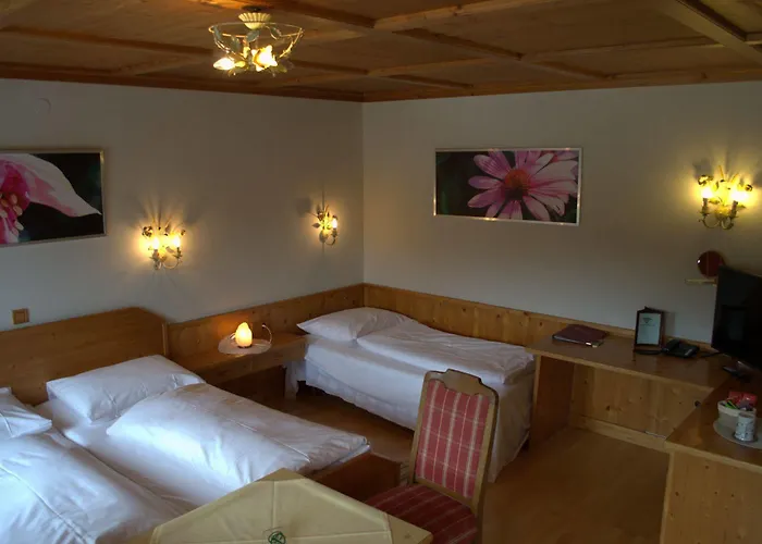 Otel Santner, 3*